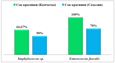 Влияние сока из плодов Вакциниума превосходного на грамположительные бактерии