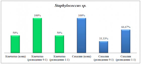 Влияние сока из плодов Вакциниума превосходного на грамположительные бактерии